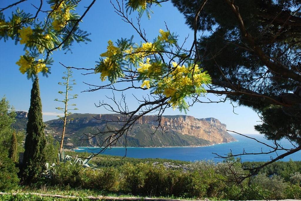Belle Vue Mer Leilighet Cassis Eksteriør bilde